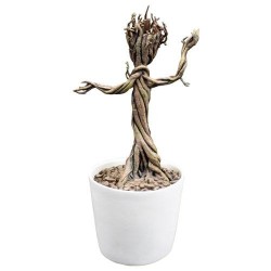Statuette Marvel Les Gardiens de la Galaxie Shakems Bobble 1/1 Dancing Groot