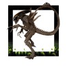 Figurine Alien SSS Premium Figure Alien Dark Brown Color Version