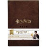Cartes à jouer Harry Potter Collector's Set Limited Edition