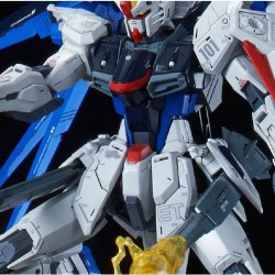 Maquette Gundam SEED MG 1/100 Freedom Gundam Ver. 2.0