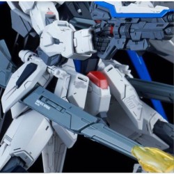 Maquette Gundam SEED MG 1/100 Freedom Gundam Ver. 2.0