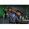 Figurine Gremlins 2 Ultimate Brain Gremlin