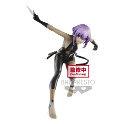 Figurine Fate/Grand Order Hassan of the Serenity