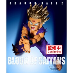 Figurine Dragon Ball Z Blood Of Saiyans Special XI Son Gohan