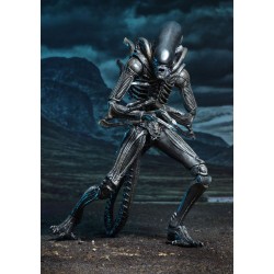 Figurine Alien pack 2 figurines Hadley's Hope