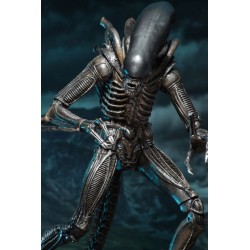 Figurine Alien pack 2 figurines Hadley's Hope
