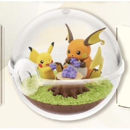 Pokemon Terrarium Collection 14 Pikachu et Raichu