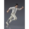 Figurine Le Marin des Mers de Chine S.H. Figuarts Dragon Ma