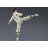 Figurine Le Marin des Mers de Chine S.H. Figuarts Dragon Ma