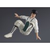 Figurine Le Marin des Mers de Chine S.H. Figuarts Dragon Ma