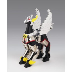 Figurine Saint Seiya Pegasus Cloth First Bronze Cloth Box Limited Edition